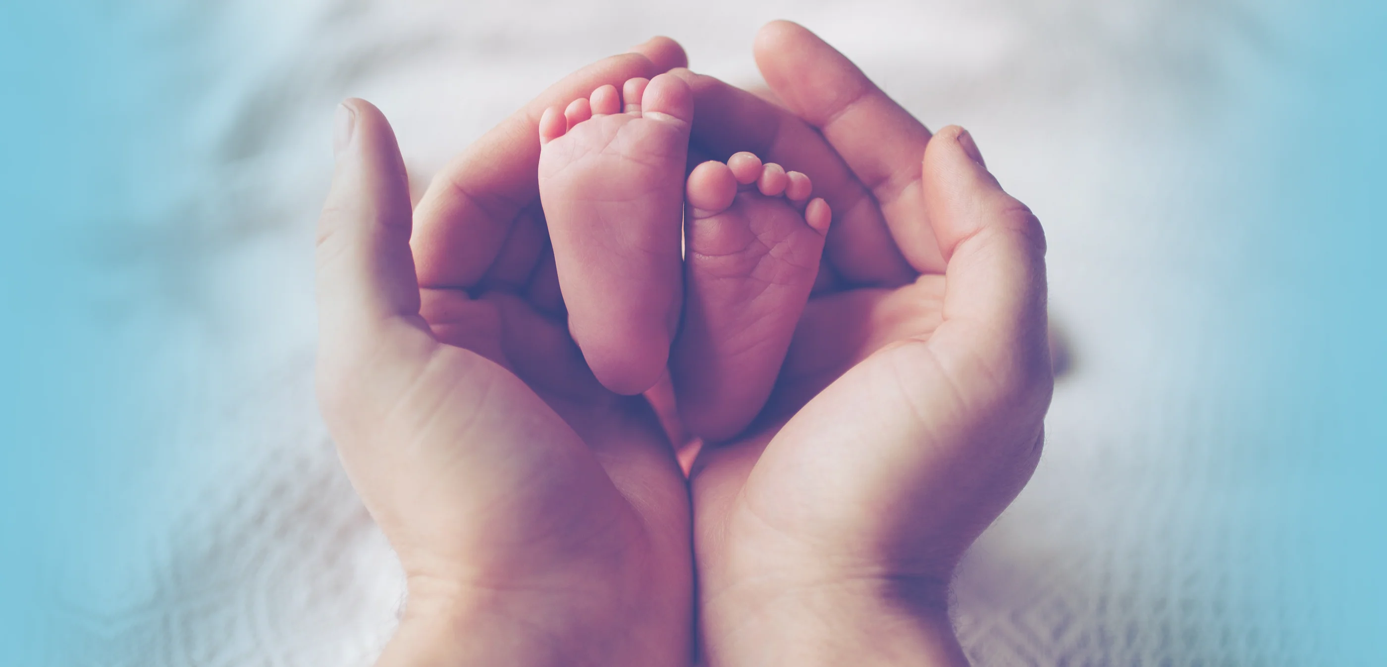 Pure Comfort for Little Wonders